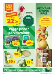 Stora Coop reklamblad vecka 34 Sida 4: Sallad i påse €20,00, Paprikamix 3-pack, Medlemspris