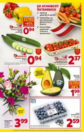 Billa Flugblatt woche 33 Seite 3