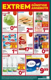 Billa Flugblatt woche 33 Seite 16