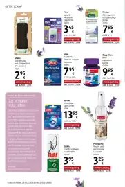 Dm Flugblatt Seite 10