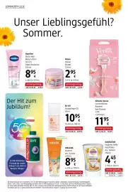 Dm Flugblatt Seite 6