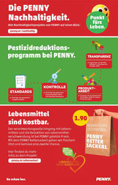 PENNY Flugblatt woche 33 Seite 32