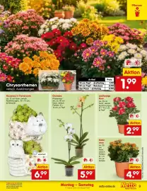 Netto Marken-Discount Prospekt woche 34 Seite 11