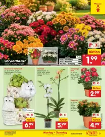 Netto Marken-Discount Prospekt woche 34 Seite 11