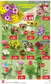 Kaufland Prospekt woche 33 Seite 23