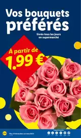 Catalogue Lidl semaine 34 page 34