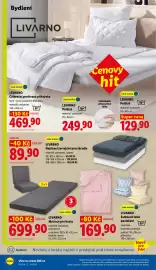 Lidl leták Strana 38: LIVARNO Napínací žerzejové prostěradlo €89,90, LIVARNO Celoroční prošívaná přikrývka €469,90