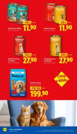 Lidl leták Strana 5: Konzerva pro kočky €11,90, Konzerva pro psy €11,90
