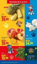 Lidl leták Strana 13: ŽAMPIONY ZAHRADNÍ €34,90, Nektarinky ploché €39,90