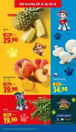 Lidl leták Strana 15: ŽAMPIONY ZAHRADNÍ €34,90, Nektarinky ploché €39,90