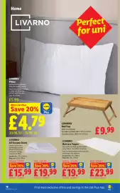 Lidl leaflet week 34 Page 22: All Seasons Duvet €15,99, Mattress Topper €19,99