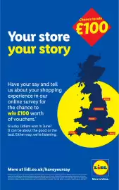 Lidl leaflet week 34 Page 33