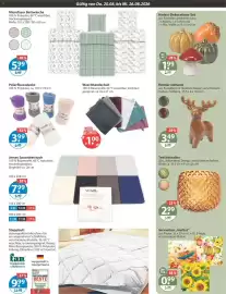 V Markt Prospekt woche 34 Seite 15
