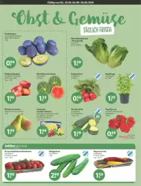 V Markt Prospekt woche 34 Seite 4