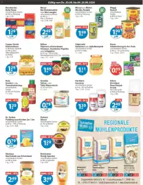 V Markt Prospekt woche 34 Seite 7