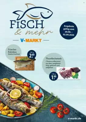 V Markt Prospekt (gültig bis 2-09)
