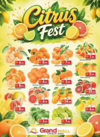 Grand Mall Sharjah catalogue Page 14: Lemon big €4,99, Blood orange €35,99