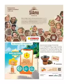 Volantino Conad City settimana 33 Pagina 13