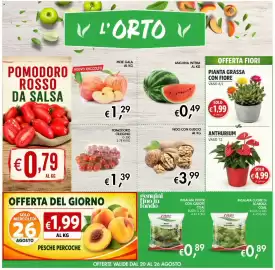 Volantino Coal Pagina 3: Pianta grassa con fiore €1,99, Anthurium €4,99