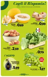 Volantino Coop Radenza Pagina 20: Ricetta Vivace Bonduelle €1,39, Rucola COOP €0,65