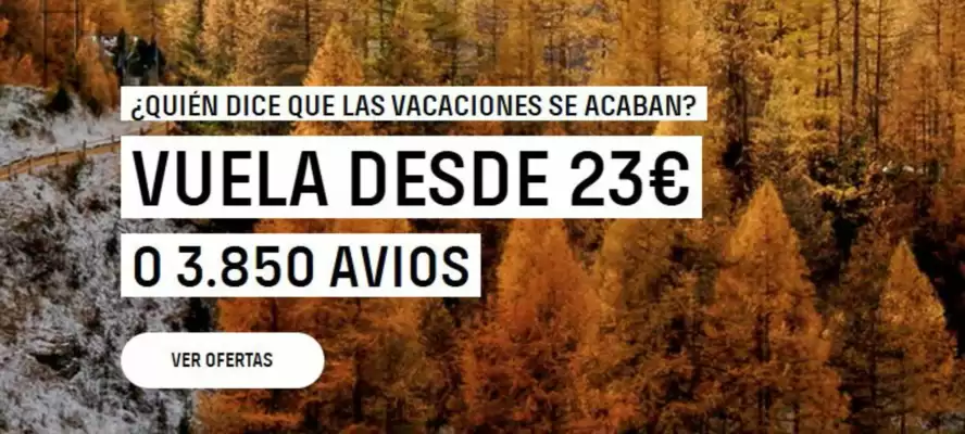 Vueling (válido hasta el 31-08)