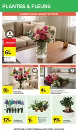 Catalogue Carrefour page 66: Botte de reines marguerites €4,99, Bouquet Lagon €8,99