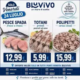 Volantino BluVivo Pagina 3