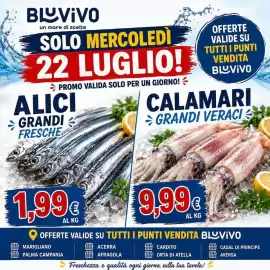 Volantino BluVivo Pagina 5: Alici grandi fresche €1,99, Yokai €9,99