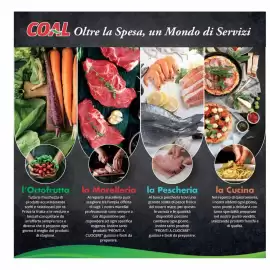 Volantino Maxi Coal Pagina 2