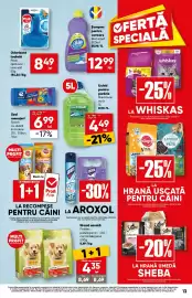 Catalog PROFI săptămâna 33 Pagină 13: Fluidclean lichid parbriz vară €4,49, Aroxol spray insecticid universal