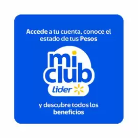 Catálogo Lider Página 18