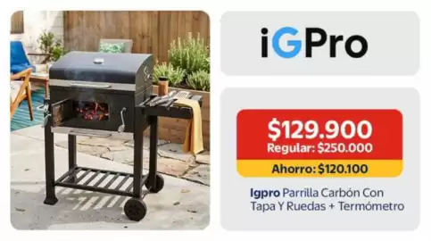 Catálogo Lider Página 7: Igp pro parrilla carbón con tapa y ruedas + termometro €120.100,00
