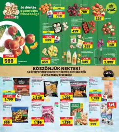 Interspar akciós újság hét 33 Oldal 16