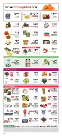 ShopRite flyer week 34 Page 9: NatureSweet Cherubs, Golden Cherubs or Twilights Tomatoes €5,00, Sweet Blueberries €2,99
