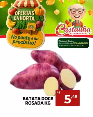 Safra (válido até 13-08)
