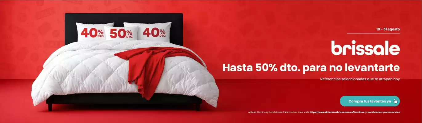 Brissa (válido hasta 31-08)