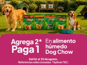 Catálogo Jumbo Página 15