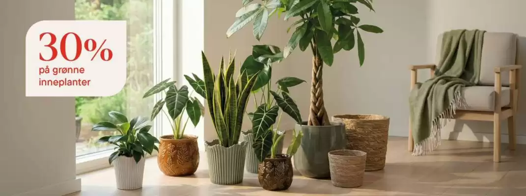 Plantasjen (gyldig til 27-08)
