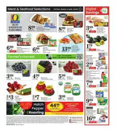 Food Pavilion weekly ad week 33 Page 4: Black, Green or Red Seedless Grapes €4,99