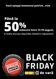 Catalog Brico Depôt săptămâna 33 Pagină 1