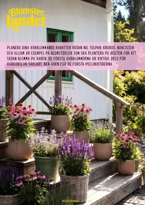 Blomsterlandet (giltig till och med 27-08)