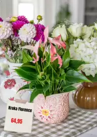 Plantagen annonsblad Sida 3