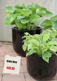 Plantagen annonsblad Sida 7