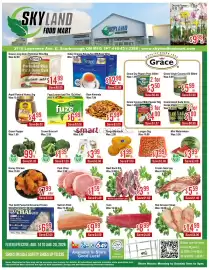 Skyland Foodmart flyer week 33 Page 1