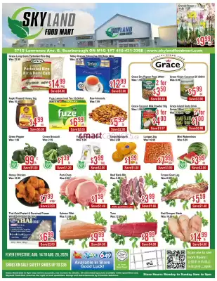 Skyland Foodmart flyer (valid until 20-08)