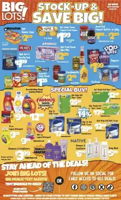 Big Lots weekly ad (valid until 19-08)
