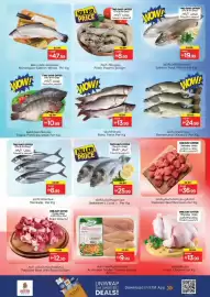 Nesto catalogue Page 23