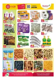 Shaklan leaflet Page 3