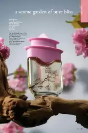 AVON flyer Page 63
