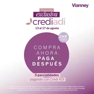 Vianney (válido hasta 17-08)